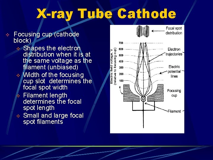 X-ray Tube Cathode v Focusing cup (cathode block) v Shapes the electron distribution when