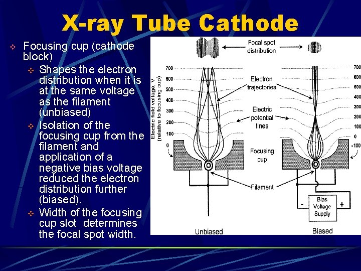 X-ray Tube Cathode v Focusing cup (cathode block) v Shapes the electron distribution when