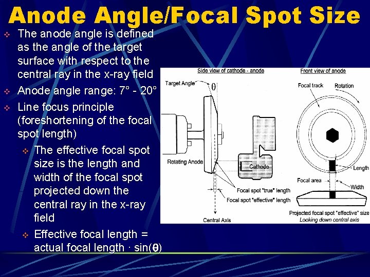 Anode Angle/Focal Spot Size v v v The anode angle is defined as the