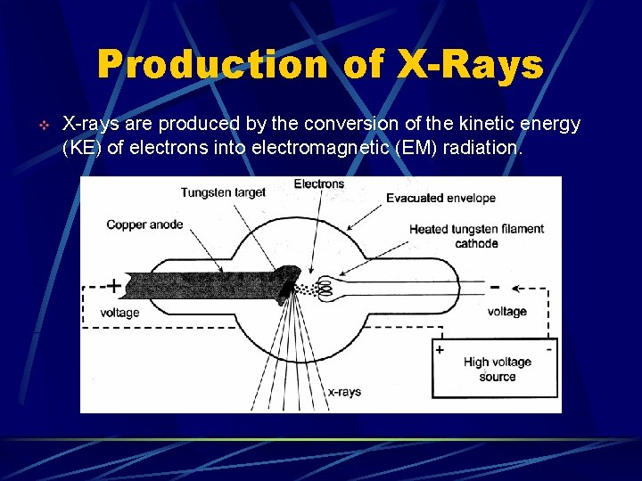 Production of X-Rays v X-rays are produced by the conversion of the kinetic energy