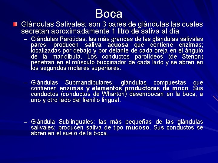 Boca Glándulas Salivales: son 3 pares de glándulas cuales secretan aproximadamente 1 litro de