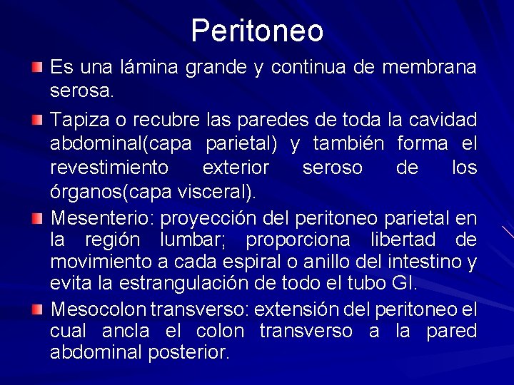 Peritoneo Es una lámina grande y continua de membrana serosa. Tapiza o recubre las