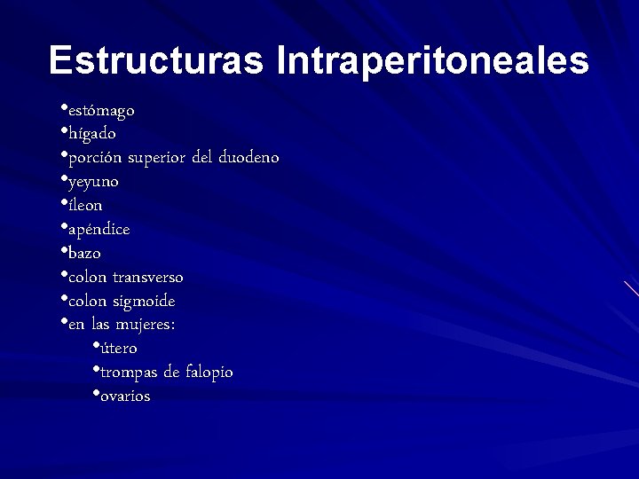 Estructuras Intraperitoneales • estómago • hígado • porción superior del duodeno • yeyuno •