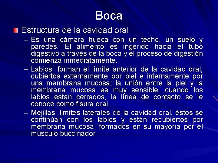 Boca Estructura de la cavidad oral – Es una cámara hueca con un techo,