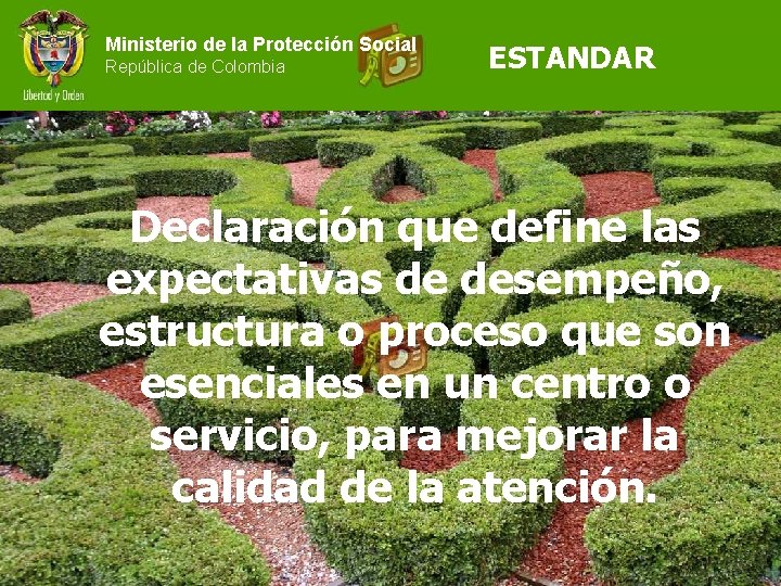 Ministerio de la Protección Social República de Colombia ESTANDAR Declaración que define las expectativas
