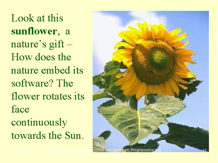 Look at this sunflower, a nature’s gift – How does the nature embed its