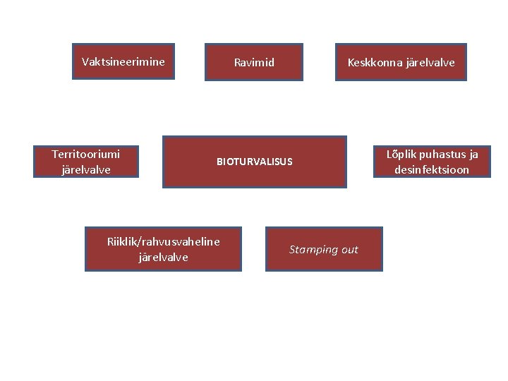 Vaktsineerimine Territooriumi järelvalve Keskkonna järelvalve Ravimid BIOTURVALISUS Riiklik/rahvusvaheline järelvalve Stamping out Lõplik puhastus ja