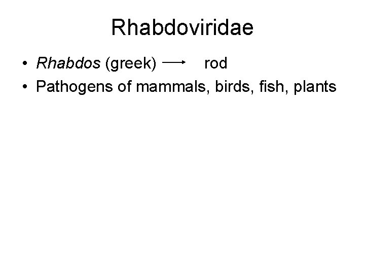 Rhabdoviridae • Rhabdos (greek) rod • Pathogens of mammals, birds, fish, plants 