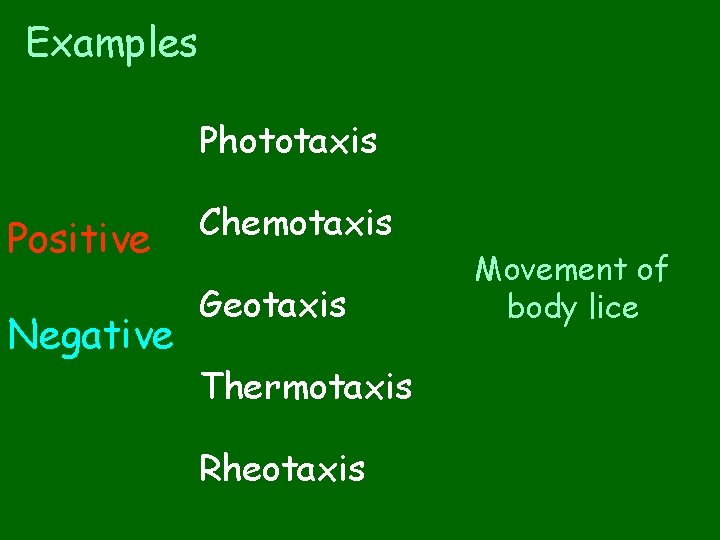 Examples Phototaxis Positive Negative Chemotaxis Geotaxis Thermotaxis Rheotaxis Movement of body lice 