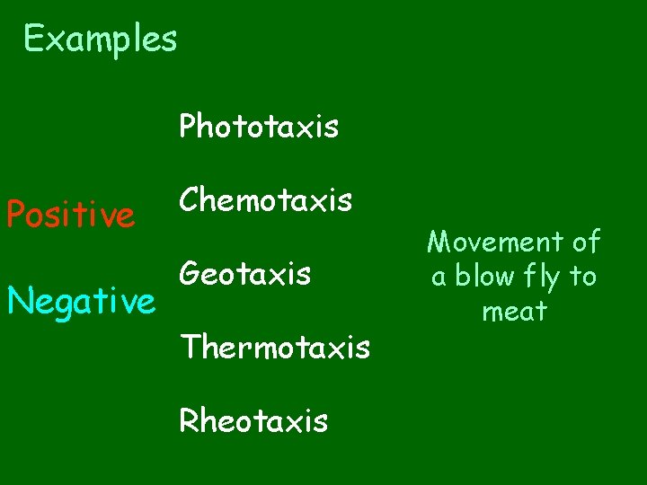 Examples Phototaxis Positive Negative Chemotaxis Geotaxis Thermotaxis Rheotaxis Movement of a blow fly to