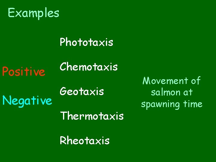 Examples Phototaxis Positive Negative Chemotaxis Geotaxis Thermotaxis Rheotaxis Movement of salmon at spawning time