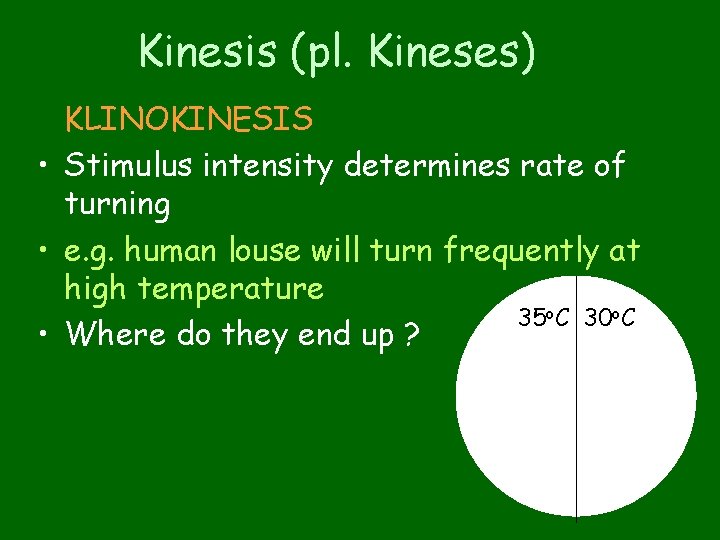 Kinesis (pl. Kineses) KLINOKINESIS • Stimulus intensity determines rate of turning • e. g.