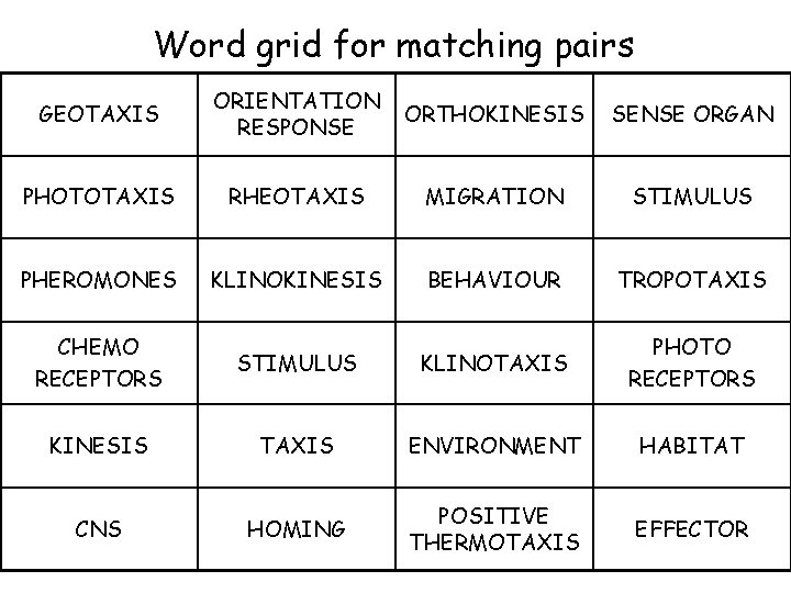 Word grid for matching pairs GEOTAXIS ORIENTATION RESPONSE ORTHOKINESIS SENSE ORGAN PHOTOTAXIS RHEOTAXIS MIGRATION