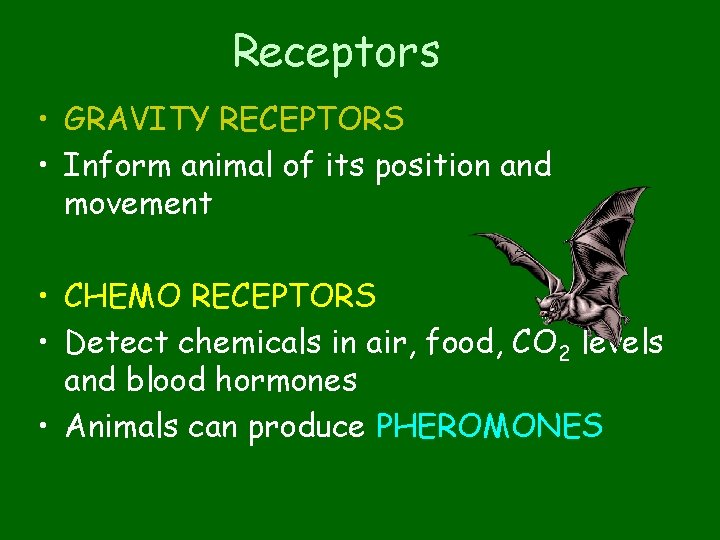 Receptors • GRAVITY RECEPTORS • Inform animal of its position and movement • CHEMO