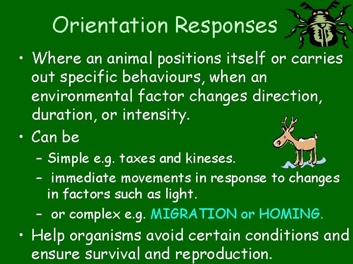 Orientation Responses • Where an animal positions itself or carries out specific behaviours, when
