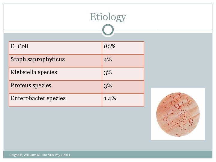 Etiology E. Coli 86% Staph saprophyticus 4% Klebsiella species 3% Proteus species 3% Enterobacter