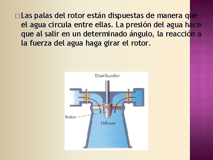 � Las palas del rotor están dispuestas de manera que el agua circula entre