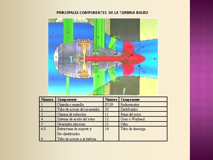 PRINCIPALES COMPONENTES DE LA TURBINA BULBO Número 1 2 3 4 5 6 -8