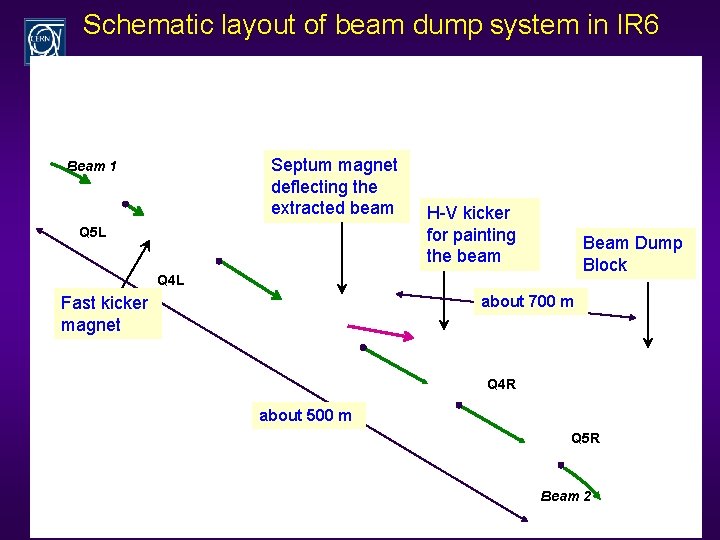 Schematic layout of beam dump system in IR 6 Septum magnet deflecting the extracted