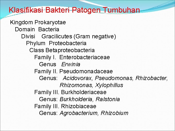 Klasifikasi Bakteri Patogen Tumbuhan Kingdom Prokaryotae Domain Bacteria Divisi Gracilicutes (Gram negative) Phylum Proteobacteria