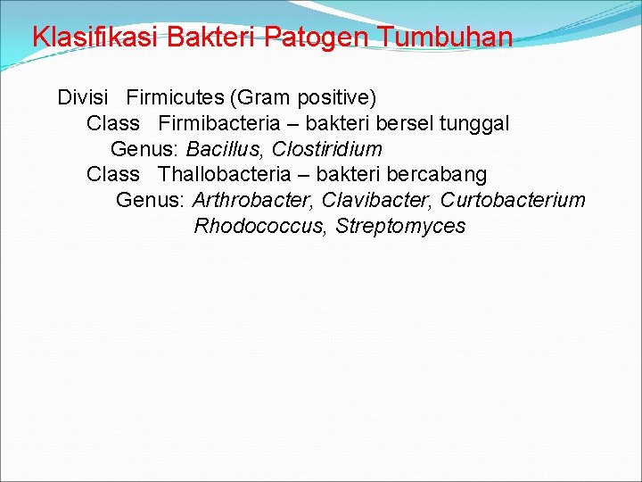 Klasifikasi Bakteri Patogen Tumbuhan Divisi Firmicutes (Gram positive) Class Firmibacteria – bakteri bersel tunggal