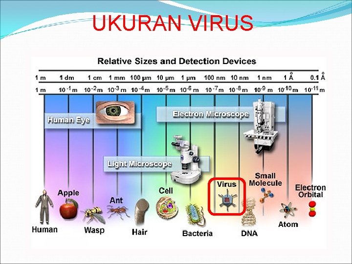UKURAN VIRUS 