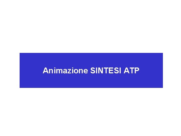 Animazione SINTESI ATP 