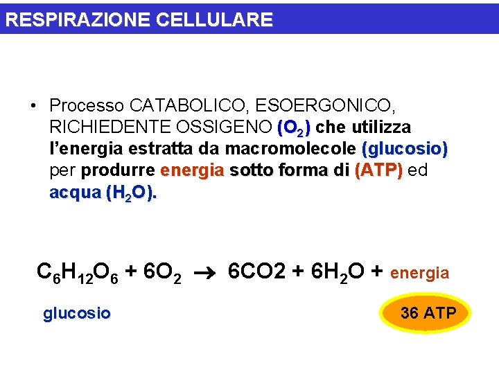 RESPIRAZIONE CELLULARE • Processo CATABOLICO, ESOERGONICO, RICHIEDENTE OSSIGENO (O 2) che utilizza l’energia estratta