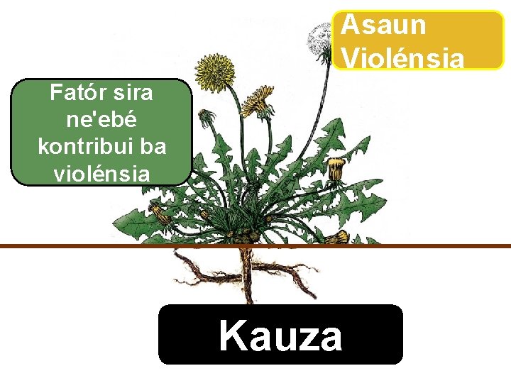 Asaun Violénsia Fatór sira ne'ebé kontribui ba violénsia Cause Kauza 