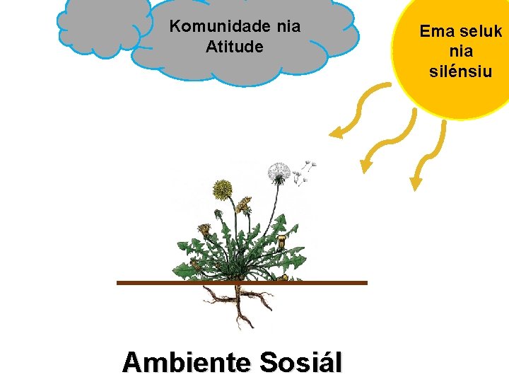 Komunidade nia Atitude Ambiente Sosiál Ema seluk nia silénsiu 