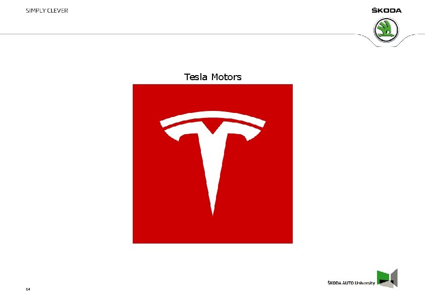 Tesla Motors 14 