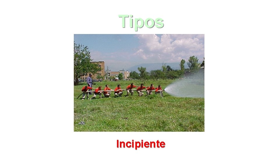 Tipos Incipiente 