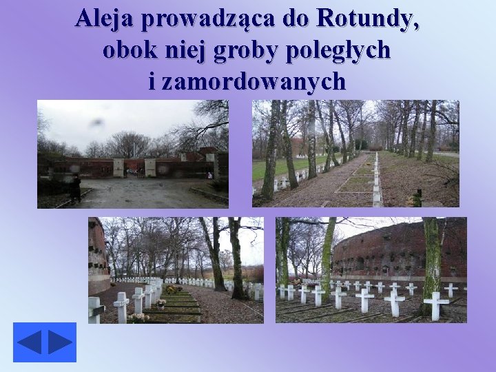 Aleja prowadząca do Rotundy, obok niej groby poległych i zamordowanych 