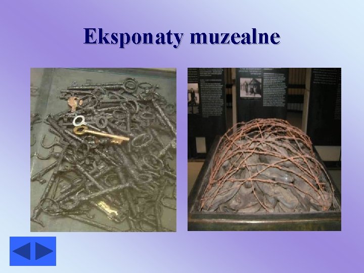 Eksponaty muzealne 