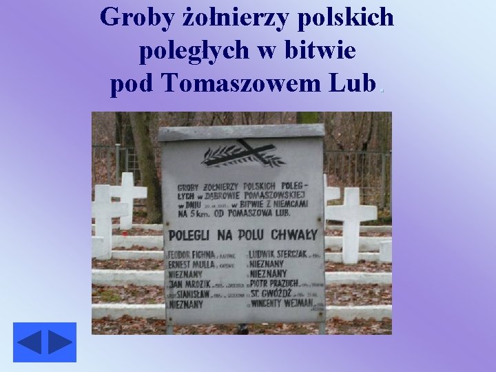 Groby żołnierzy polskich poległych w bitwie pod Tomaszowem Lub. 