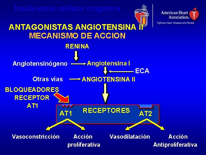 Insuficiencia cardiaca congestiva ANTAGONISTAS ANGIOTENSINA II MECANISMO DE ACCION RENINA Angiotensinógeno Otras vías ECA