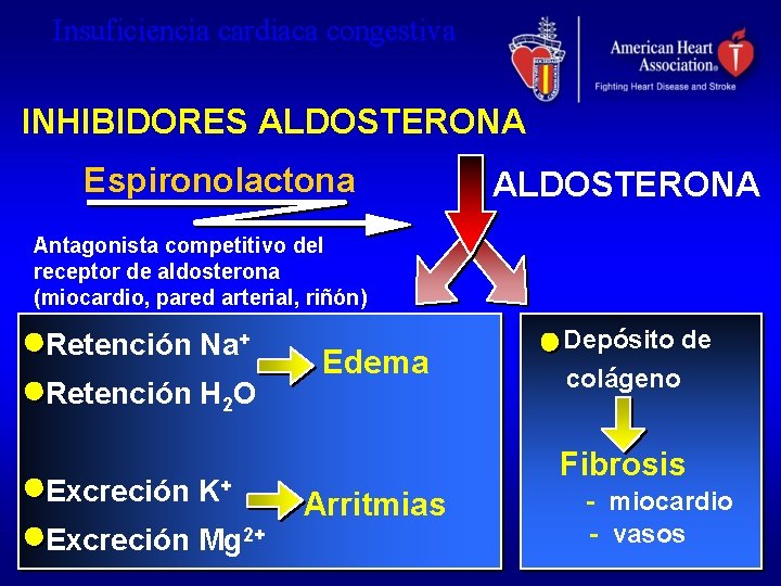 Insuficiencia cardiaca congestiva INHIBIDORES ALDOSTERONA Espironolactona ALDOSTERONA Antagonista competitivo del receptor de aldosterona (miocardio,