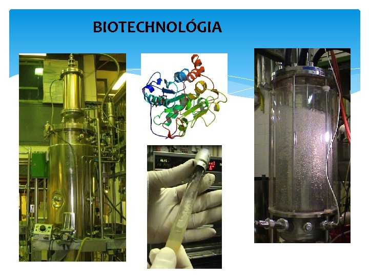 BIOTECHNOLÓGIA 11 