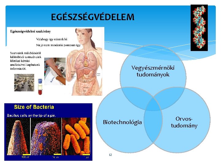 EGÉSZSÉGVÉDELEM Vegyészmérnöki tudományok Biotechnológia 12 Orvostudomány 