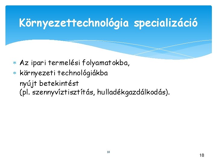 Környezettechnológia specializáció Az ipari termelési folyamatokba, környezeti technológiákba nyújt betekintést (pl. szennyvíztisztítás, hulladékgazdálkodás). 18