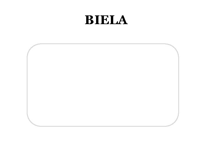 BIELA 