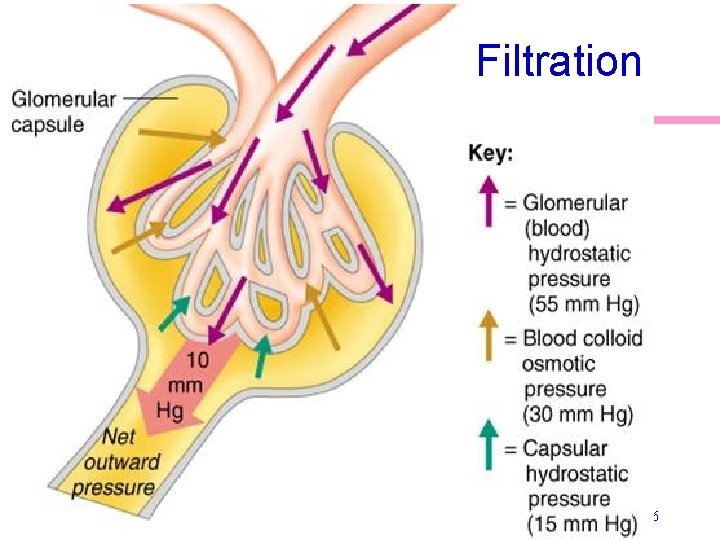 Filtration 16 Filtration 16