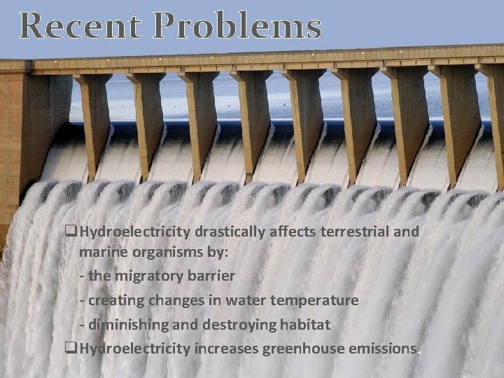 Recent Problems q Hydroelectricity drastically affects terrestrial and marine organisms by: - the migratory