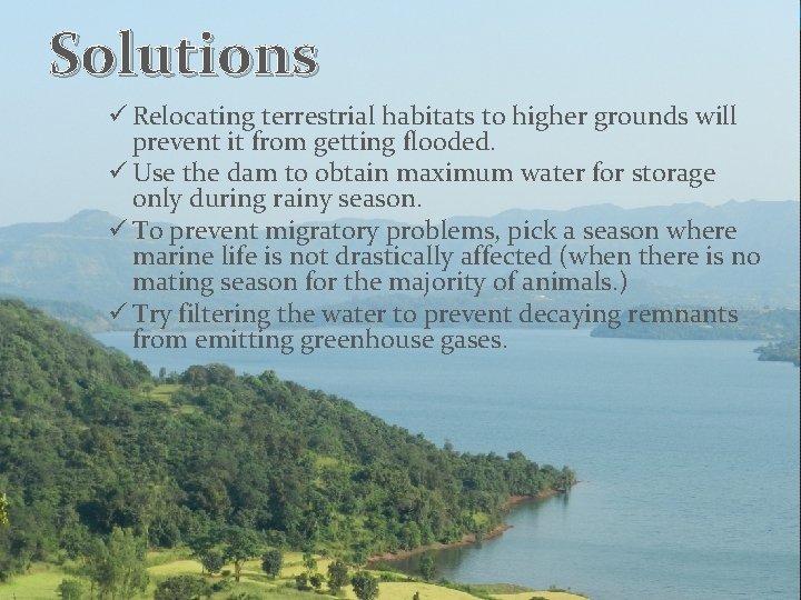 Solutions ü Relocating terrestrial habitats to higher grounds will prevent it from getting flooded.