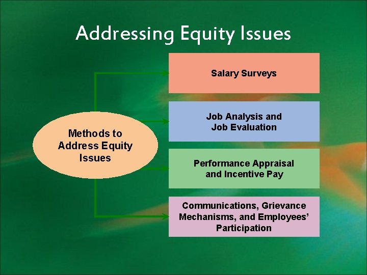 Addressing Equity Issues Salary Surveys Methods to Address Equity Issues Job Analysis and Job