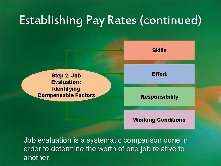Establishing Pay Rates (continued) Skills Step 2. Job Evaluation: Identifying Compensable Factors Effort Responsibility