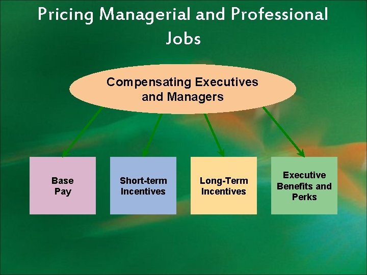 Pricing Managerial and Professional Jobs Compensating Executives and Managers Base Pay Short-term Incentives Long-Term