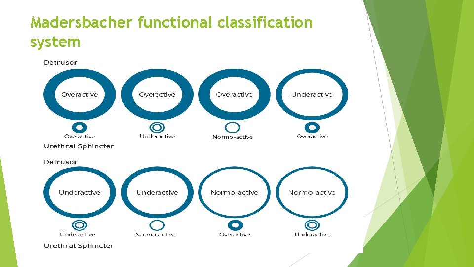 Madersbacher functional classification system 