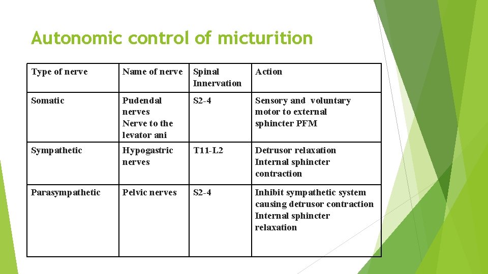 Autonomic control of micturition Type of nerve Name of nerve Spinal Innervation Action Somatic