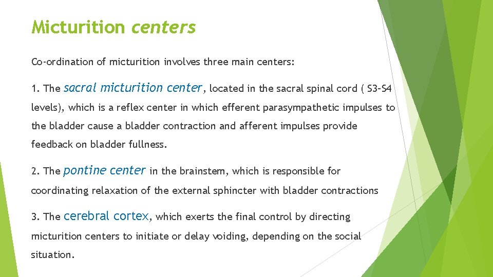 Micturition centers Co-ordination of micturition involves three main centers: 1. The sacral micturition center,